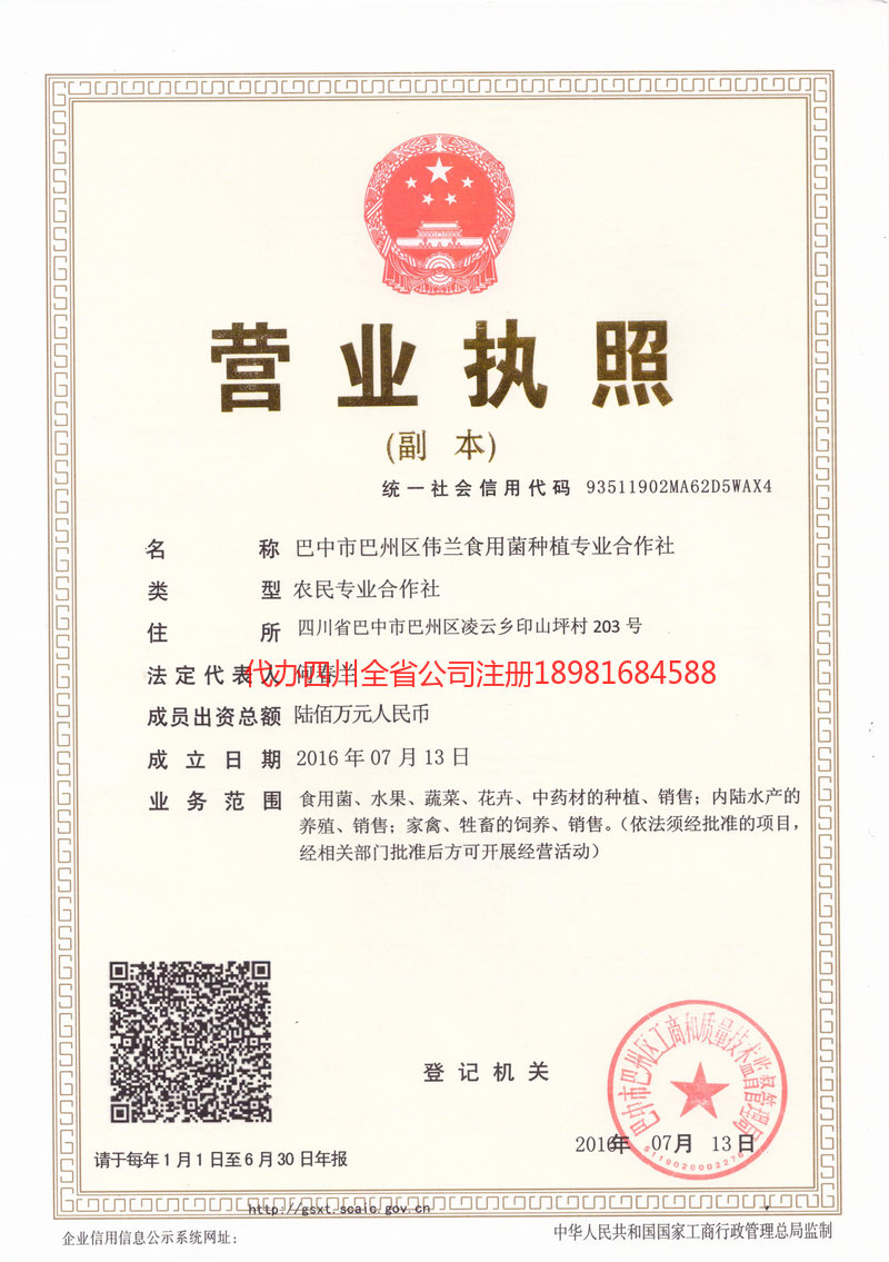 乐清乐清伟兰食用菌种植专业合作社